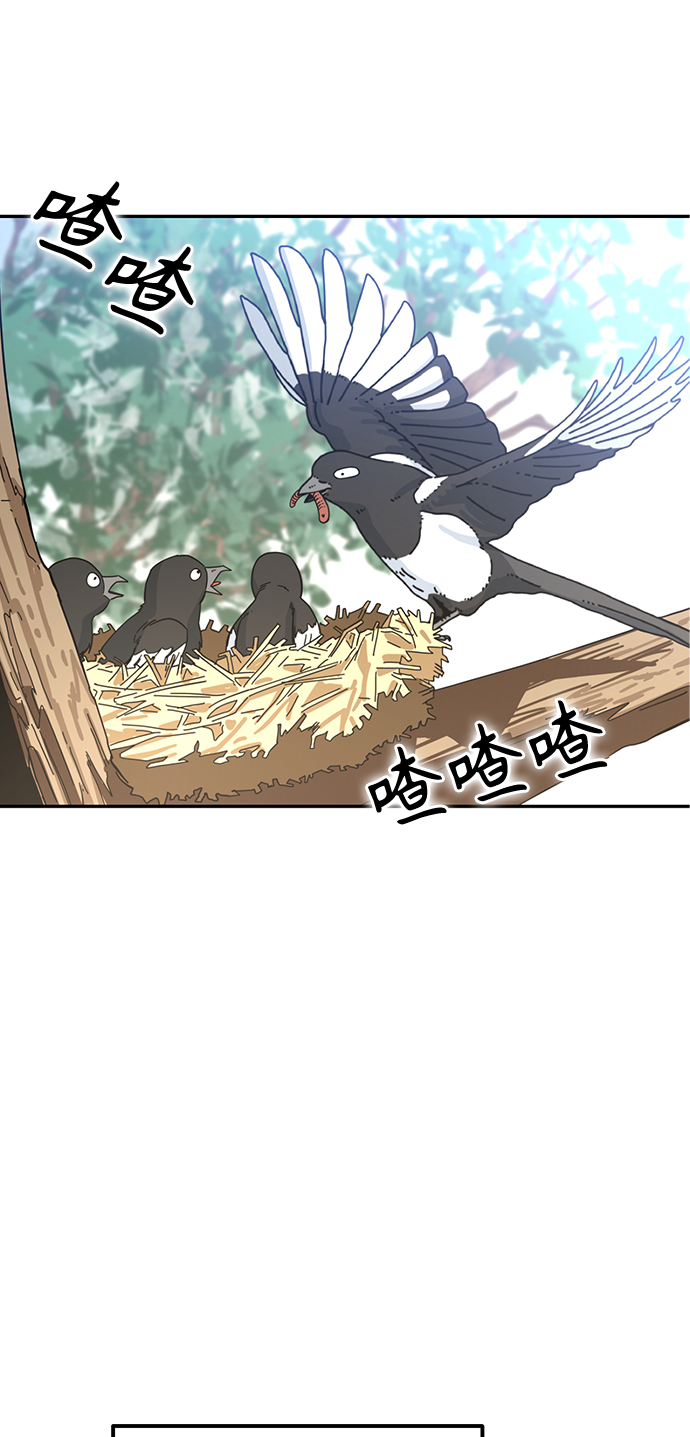 章节图片